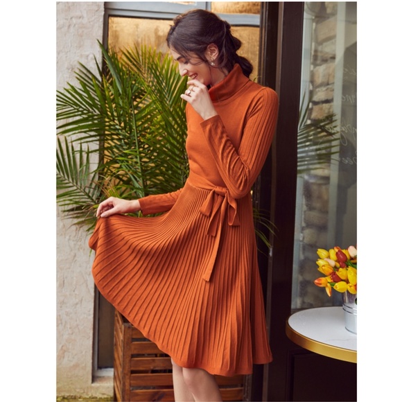 Pumpkin Orange Turtleneck Knit Belted Dress - Picture 10 of 16